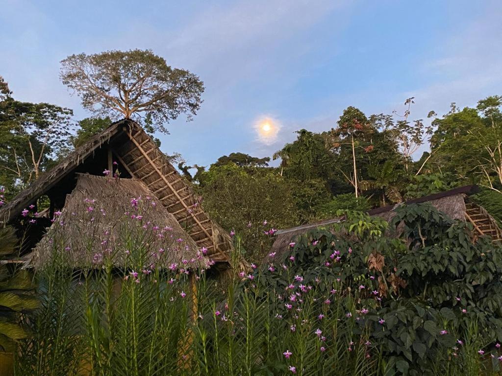 Yarina Eco Lodge Derna Eksteriør billede